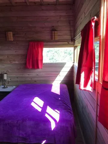 Cabanas No Meio A Natureza Garopaba